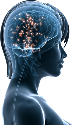 Bilans Neurosciences