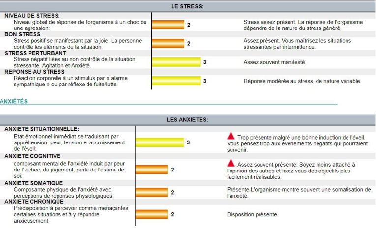 Bilan Neurosciences BioFlow : Stress, Anxiétés