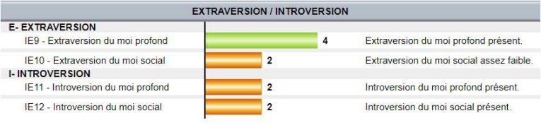 Bilan Neurosciences Extraversion Introversion