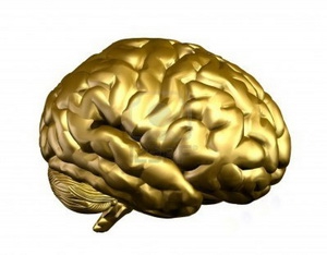 Performance intellectuelle et neurosciences