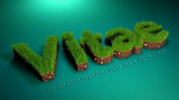 Reseau social Vitae