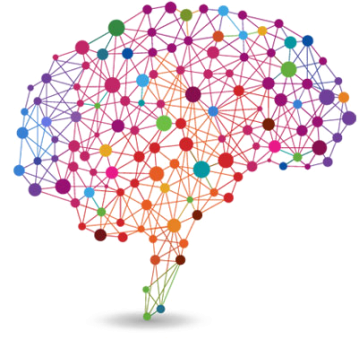 Neurosciences forme naturelle